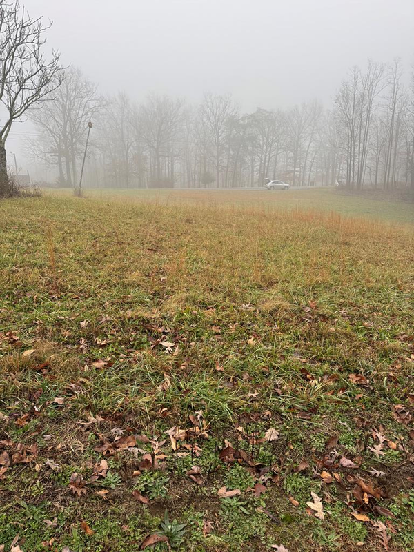 1479 Bee Rock Road, MONTEREY, TN 38574