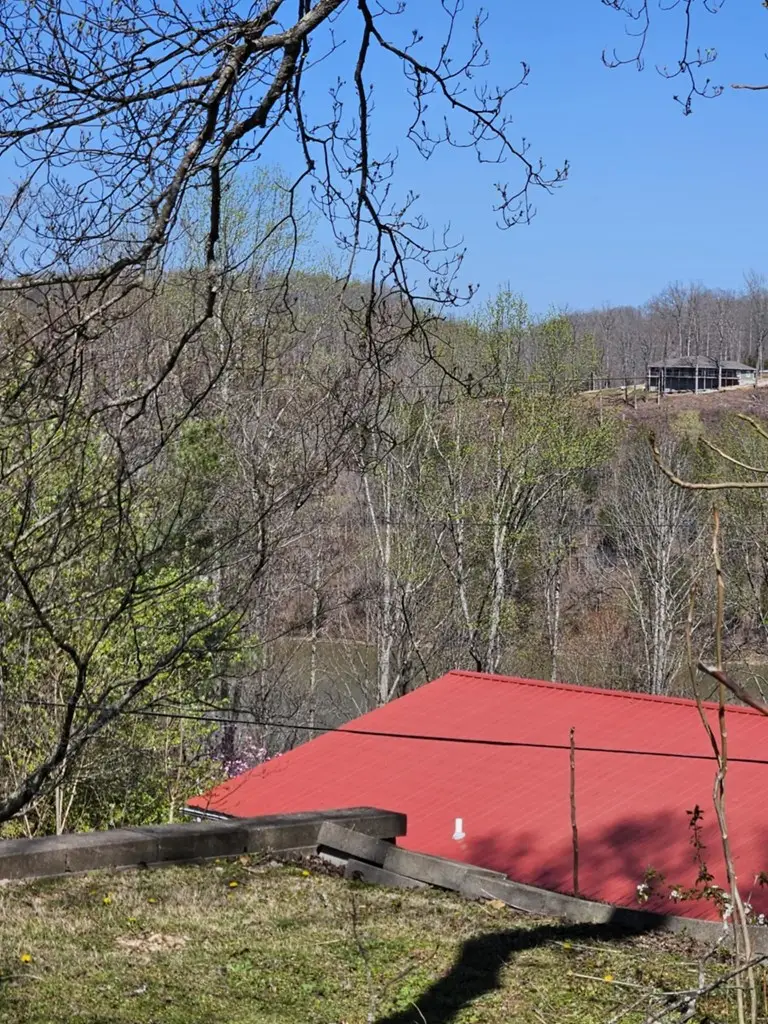 182 Mayberry Drive, Smithville, TN 37166 - #3