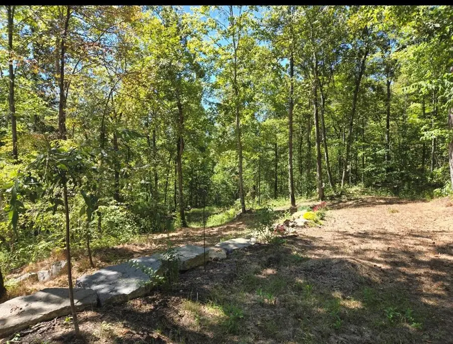 1354 East Obey Lane, Wilder, TN 38589 - Image #2