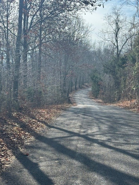 0 Tick Road, Hilham, TN 38568 - Image #2