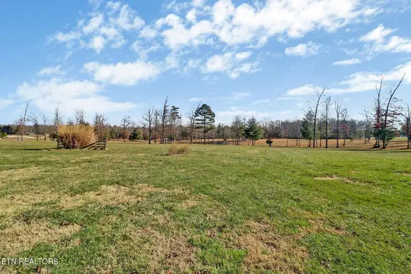 1241 Twin Bridge Rd, Deer Lodge, TN 37726