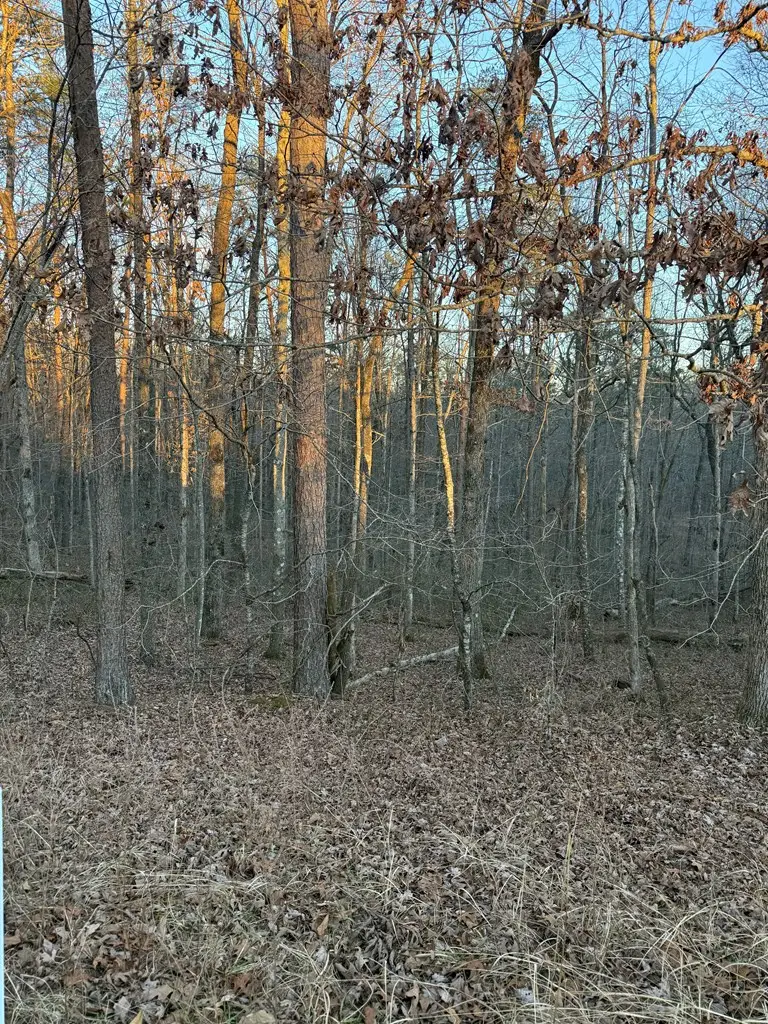 Lot 5 W Laurel Way, Monterey, TN 38574 - #2
