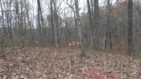 Lot 23 Cumberland Cove Rd, MONTEREY, TN 38574