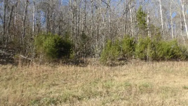 Lot 46 Cheyenne Drive, Jamestown, TN 38556 - #1