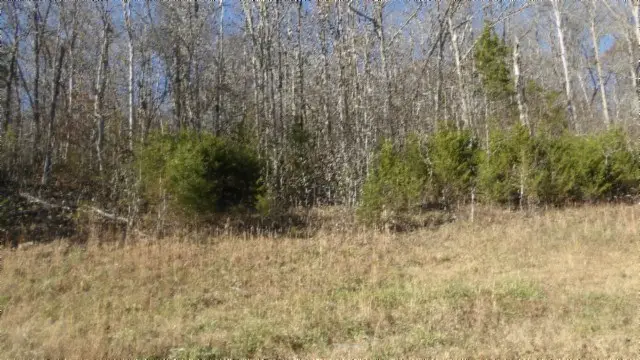 Lot 46 Cheyenne Drive, Jamestown, TN 38556 - #3