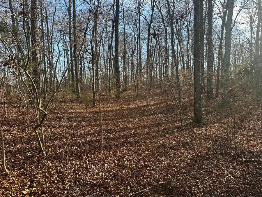 0 Arnold Thomas Rd, Silver Point, TN 38582 - #3