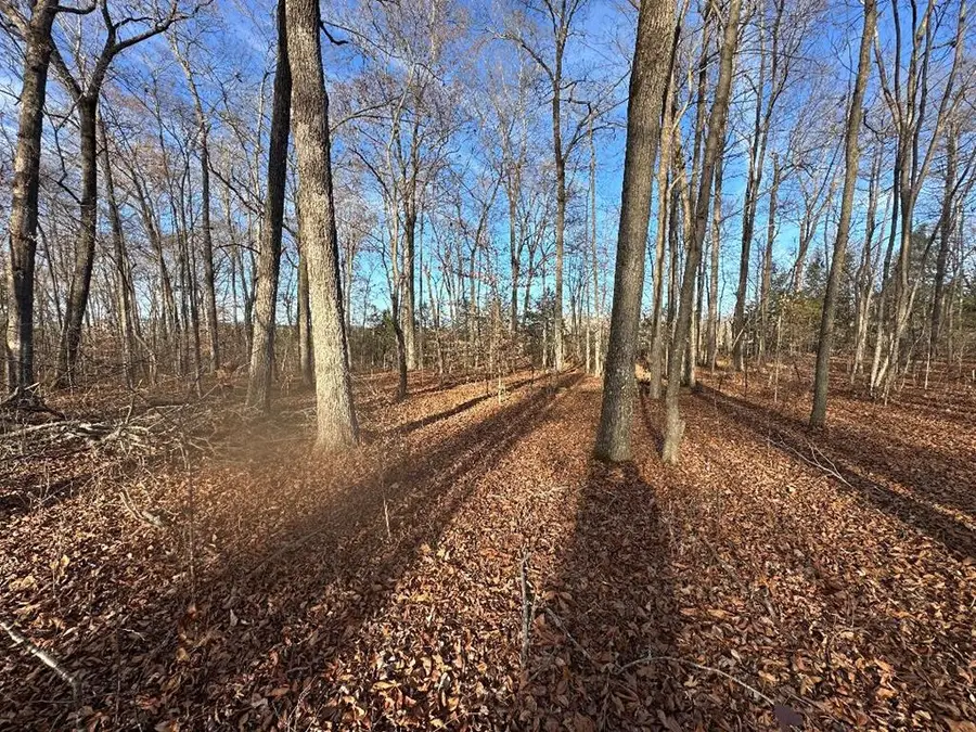 0 Arnold Thomas Rd, Silver Point, TN 38582 - #3