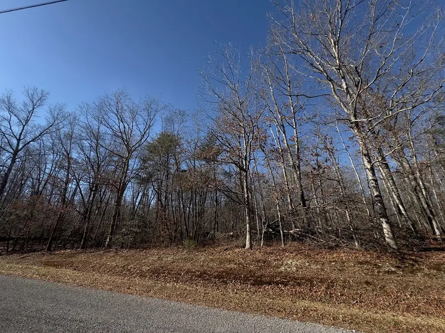 Lot 8 Anne Rd, Monterey, TN 38574 - #2
