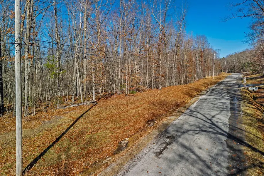 Lot 14 E Overlook Rd, Monterey, TN 38574 - Image #2