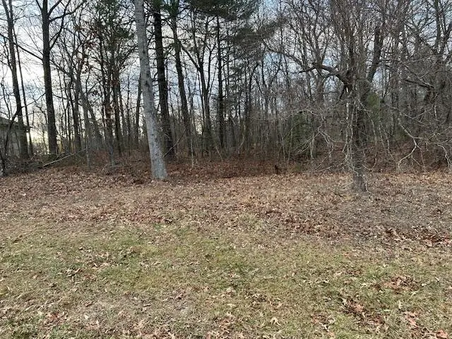 684 Westchester Dr, Fairfield Glade, TN 38583 - Image #3