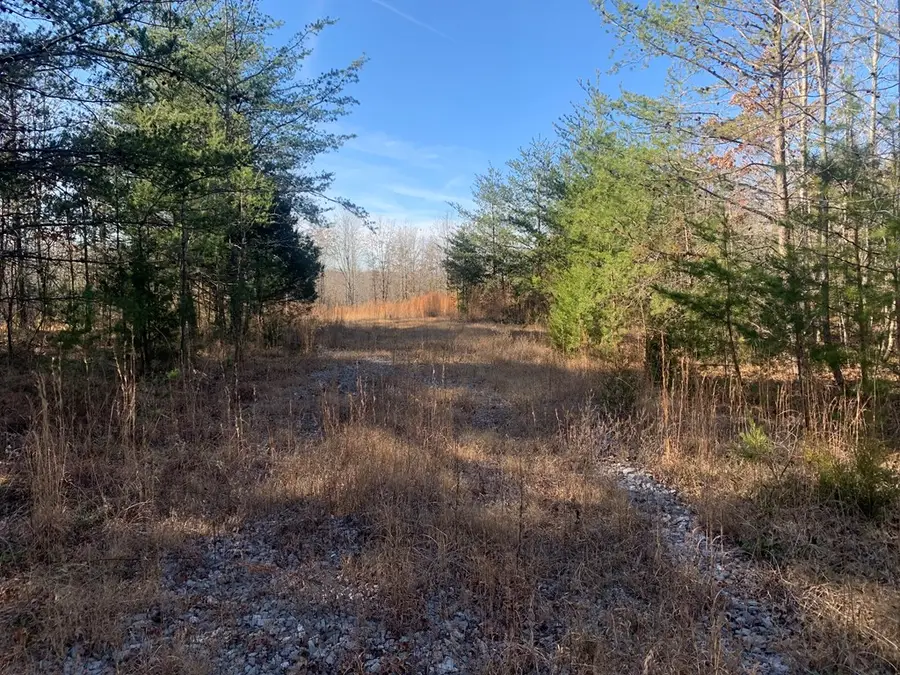 00 Lot 210 Horseshoe Drive, Spencer, TN 38585 - Image #3