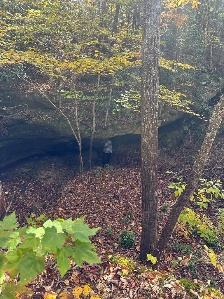 Lot 91 Buckeye Lane, Wilder, TN 38589 - Image #1