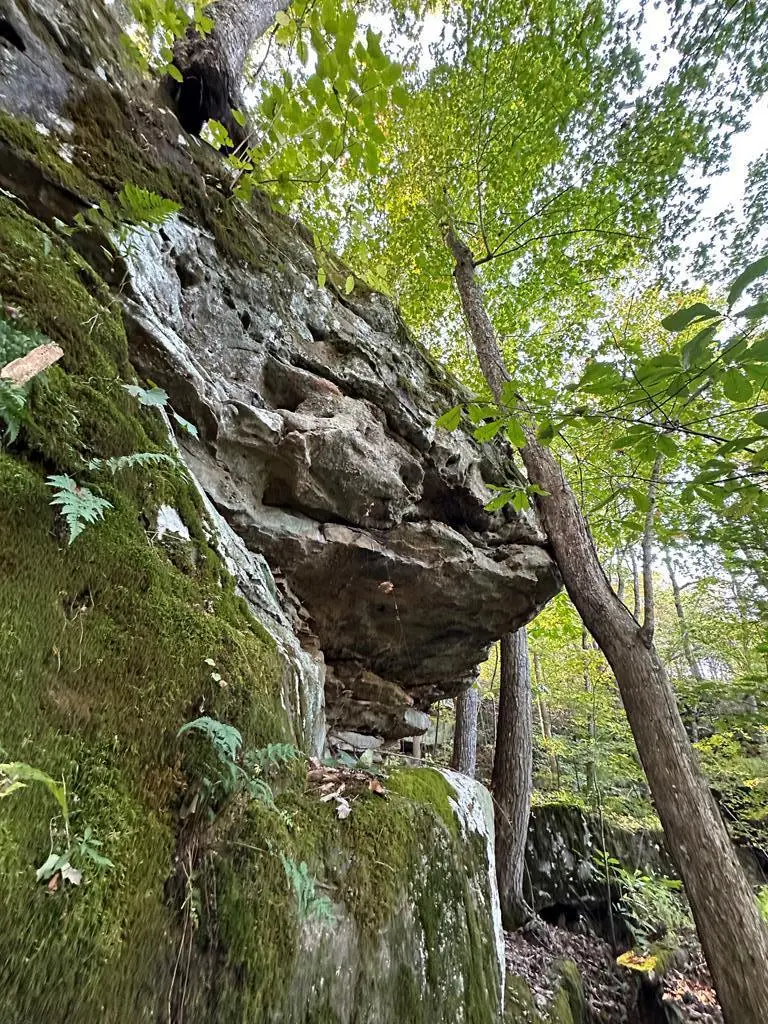 LOT 408 East Obey Lane, Wilder, TN 38589 - Image #1