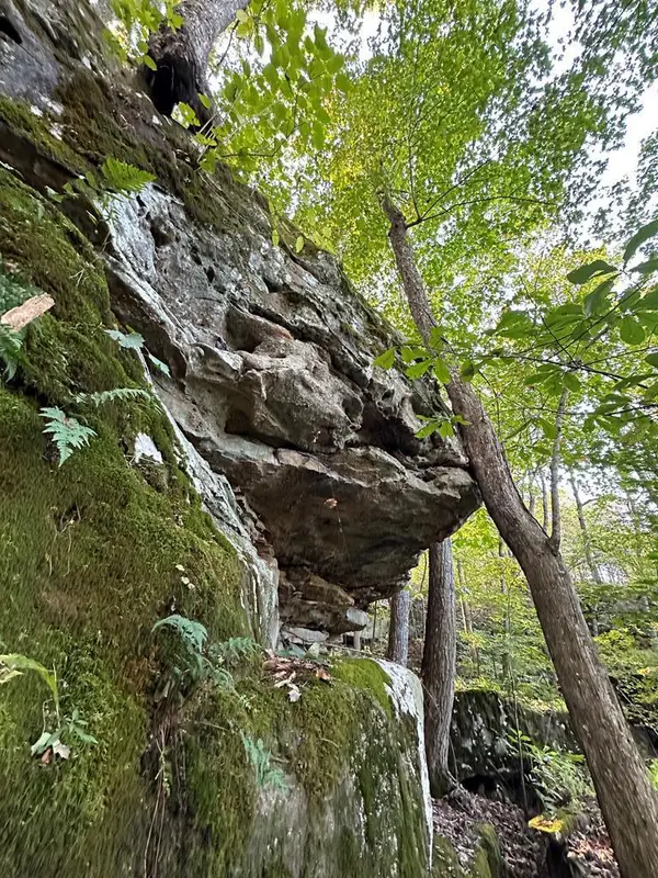 LOT 408 East Obey Lane, WILDER, TN 38589