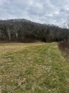0 Old Sr 85, Gainesboro, TN 38562 - Image #1