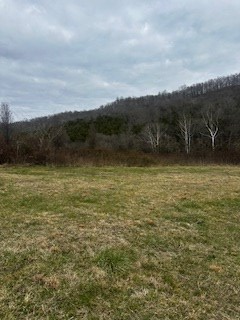 0 Old Sr 85, Gainesboro, TN 38562 - Image #2