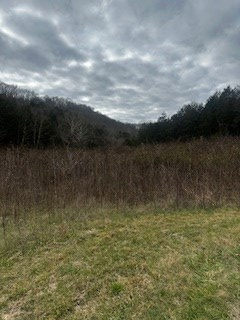 0 Old Sr 85, Gainesboro, TN 38562 - Image #3