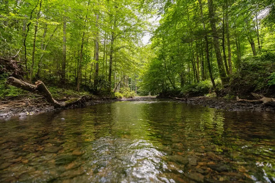 1.95 AC Steel Tram Ridge Ln, Crawford, TN 38544 - Image #3