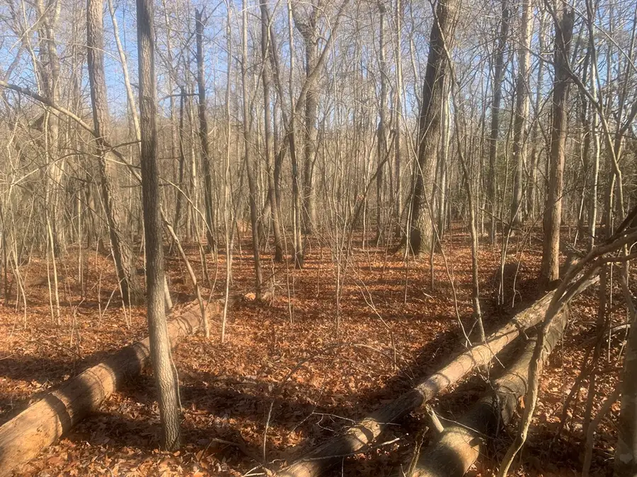 00 Lot 14 Honeysuckle Road, Pikeville, TN 37367 - Image #3