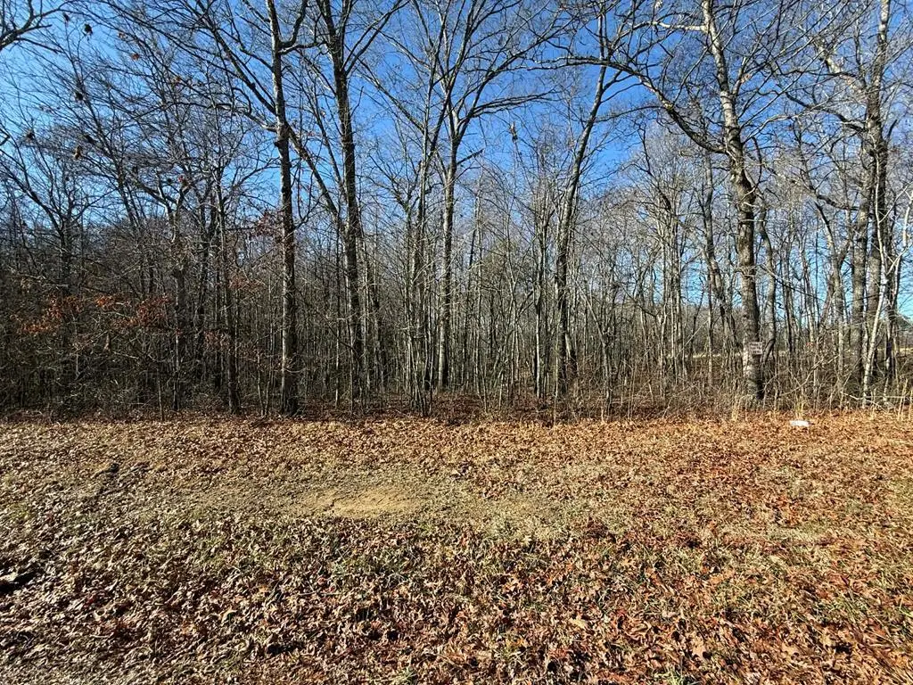 Lot 14 Georgee Rd, Jamestown, TN 38556 - #1
