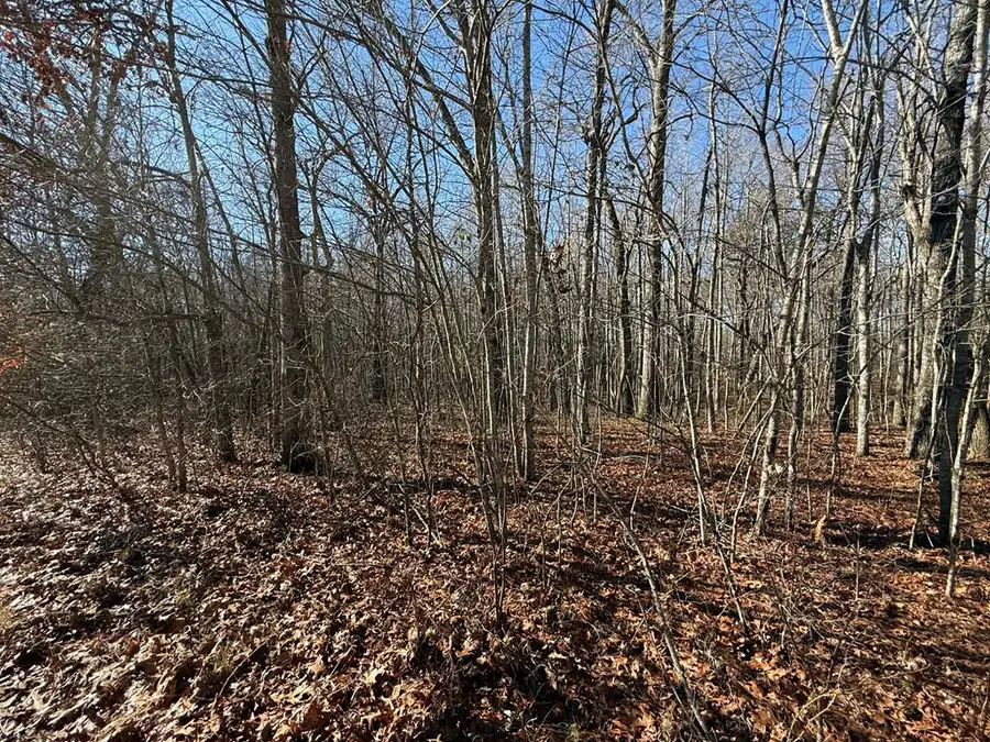 Lot 14 Georgee Rd, Jamestown, TN 38556 - #2