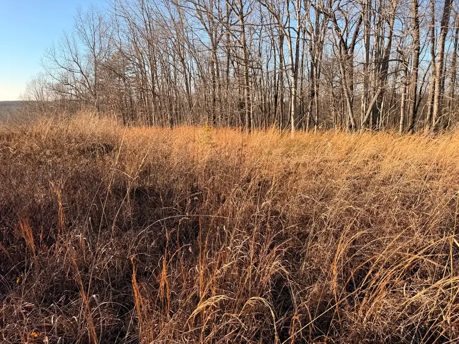 2156 Street Place Loop, Monterey, TN 38574 - Image #2