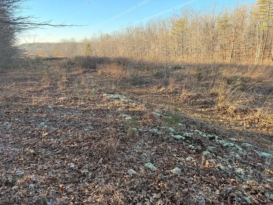 2156 Street Place Loop, Monterey, TN 38574 - Image #3