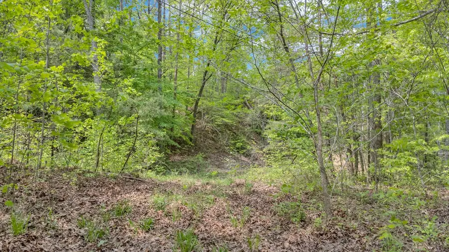 2.42 ac Wilder Hwy, Crawford, TN 38554 - Image #3
