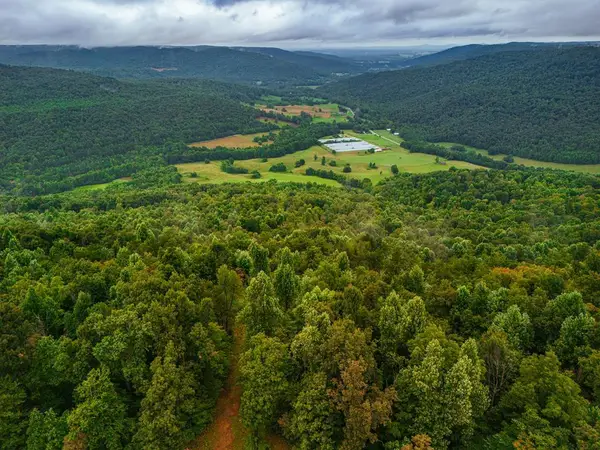 5.1ac Bear Knob Ln, CRAWFORD, TN 38554