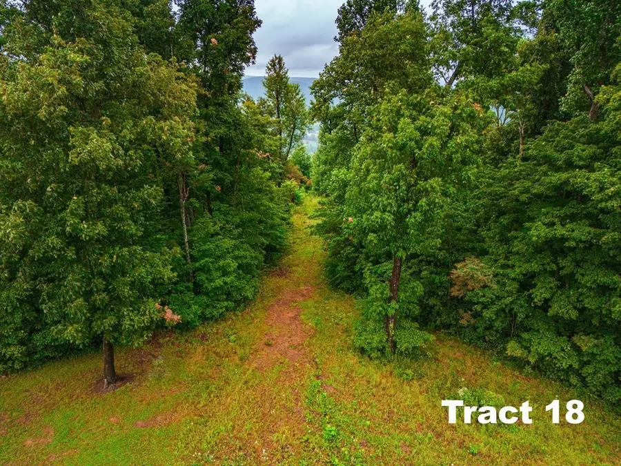 5.1ac Bear Knob Ln, Crawford, TN 38554 - #2