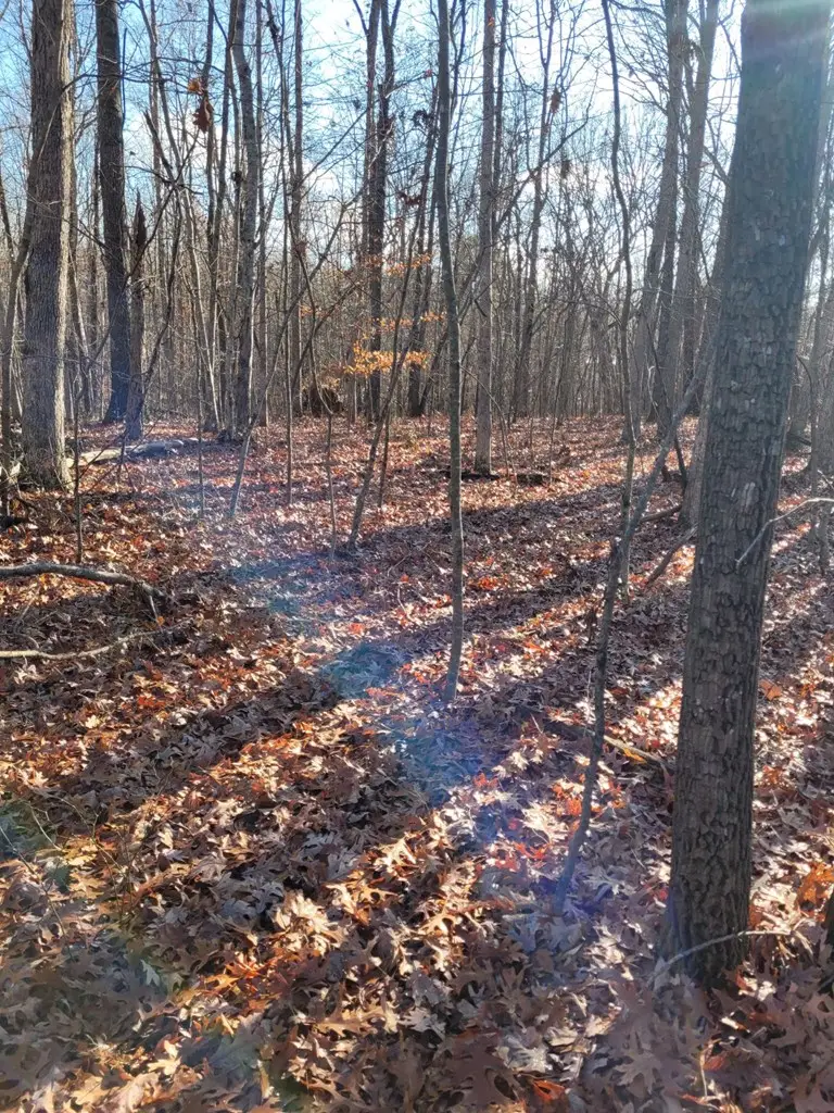 Lot 24 Hawks Bluff Rd, Spencer, TN 38585 - Image #3