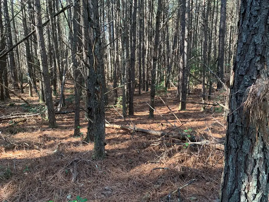 00 Lot 79 Dell Lane, Spencer, TN 38585 - Image #3