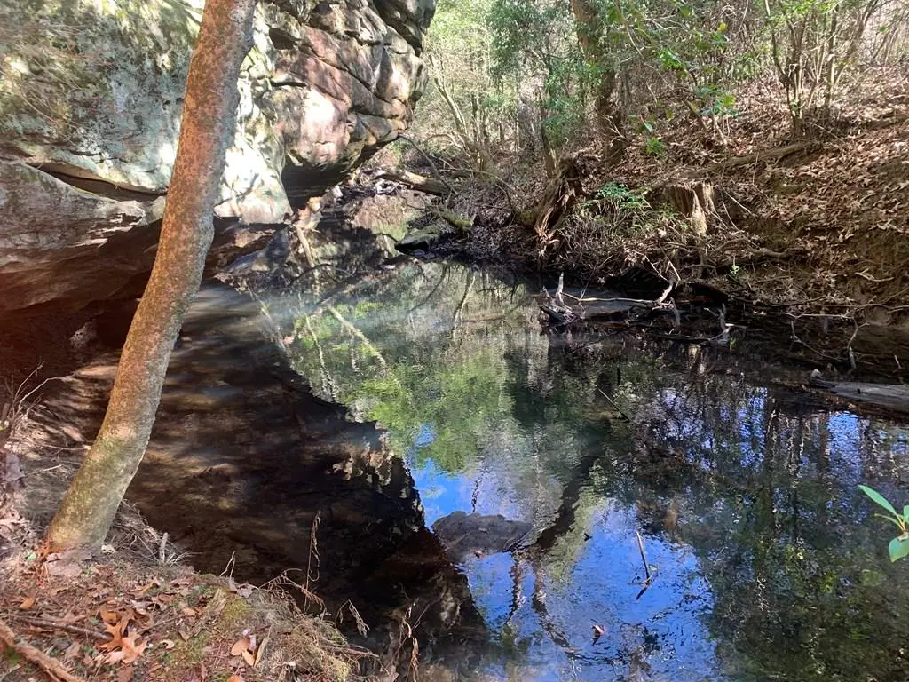 Tract 3 Lone Wolf Trail, Spencer, TN 38585 - Image #1