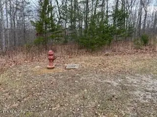 50245 ,50194, 50148 Buckeye Lane, Crawford, TN 38554 - Image #3