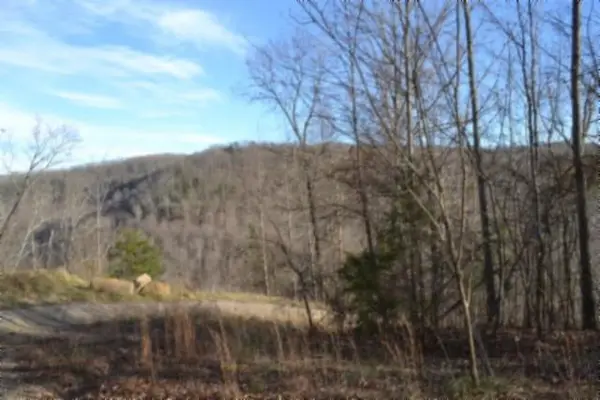 Lot 151 Steel Tram Ridge, CRAWFORD, TN 38554