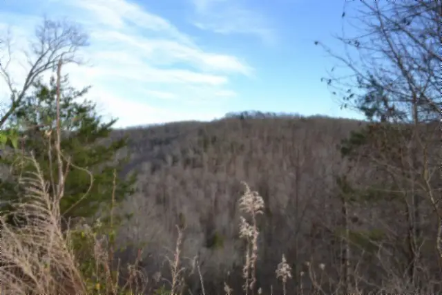 Lot 151 Steel Tram Ridge, Crawford, TN 38554 - #3