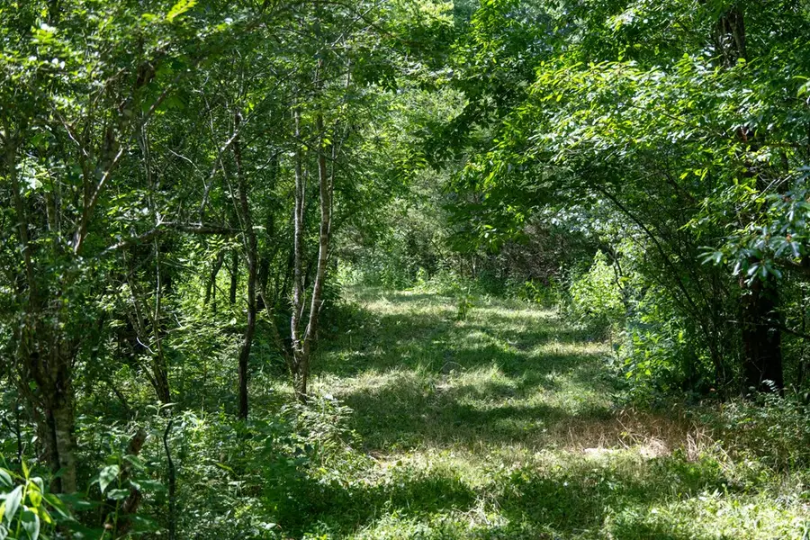 4.99 Hopkins Hollow Rd, Gainesboro, TN 38562 - Image #2