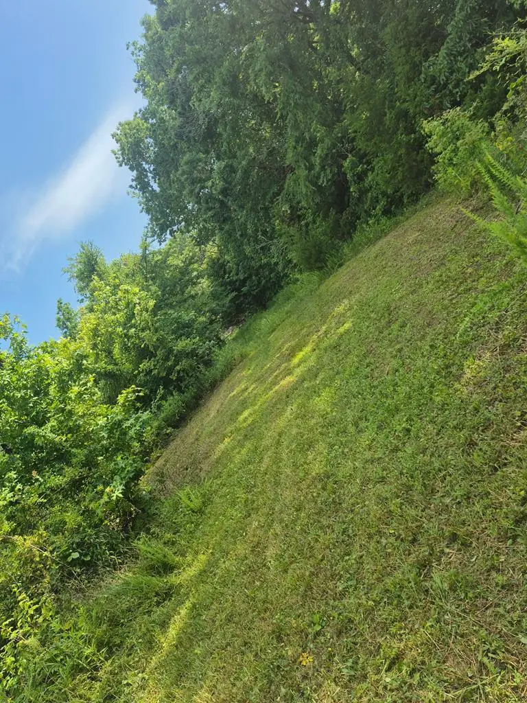 21 AC St John's Cemetery Rd, Allons, TN 38541 - Image #2