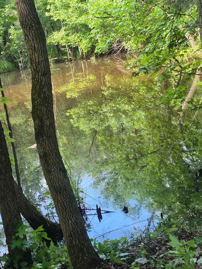 21 AC St John's Cemetery Rd, Allons, TN 38541 - Image #3