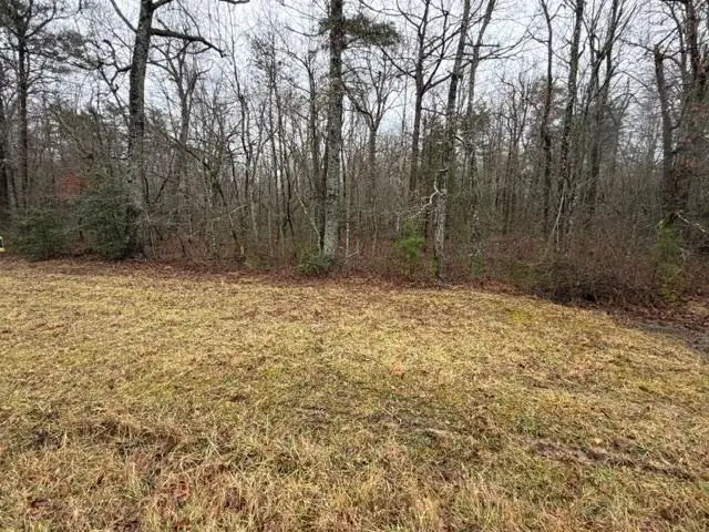 Lot 8 Cumberland Lakes Dr, Monterey, TN 38574 - Image #1