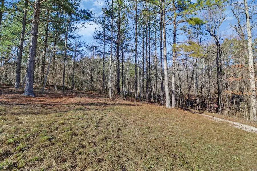 0 Us Rt 27, Sunbright, TN 37872 - Image #3