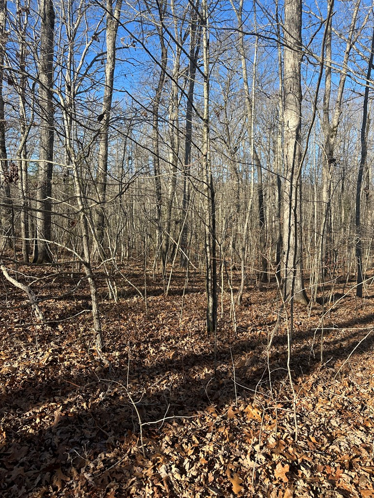 250 Haven Lane, Crawford, TN 38554 - Image #3