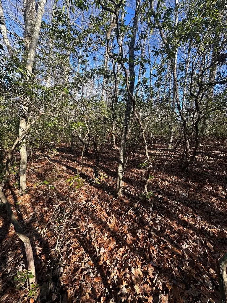 350 Haven Lane, Crawford, TN 38554 - Image #3