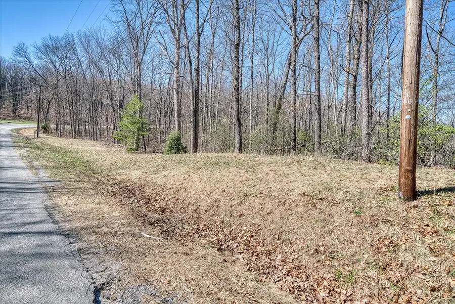 0 Lot 734 Renegade Pkwy, Crab Orchard, TN 37723 - #2