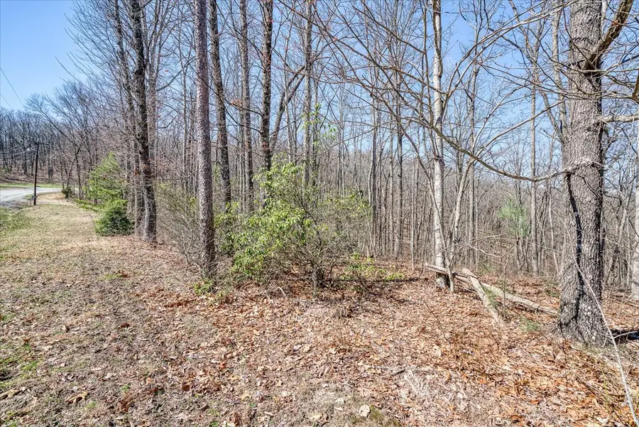 0 Lot 734 Renegade Pkwy, Crab Orchard, TN 37723 - #3