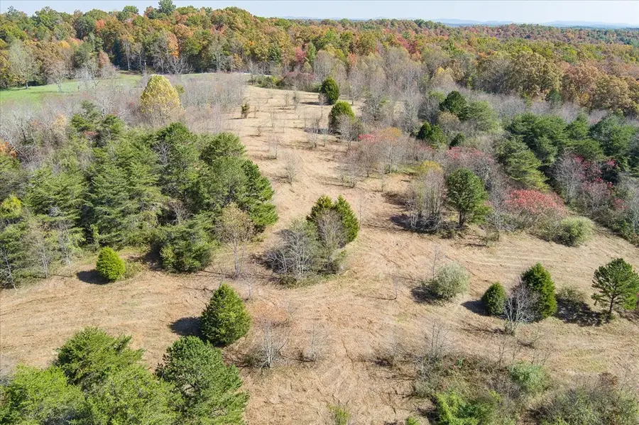 21.31 Cole Place, Allardt, TN 38504 - #3