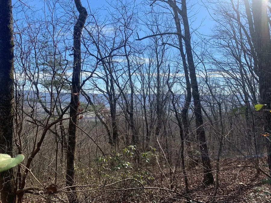 47A Gray Rock View, Pikeville, TN 37367 - Image #2