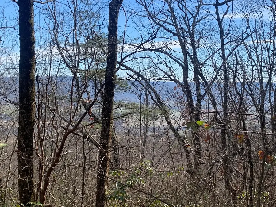 47A Gray Rock View, Pikeville, TN 37367 - Image #3