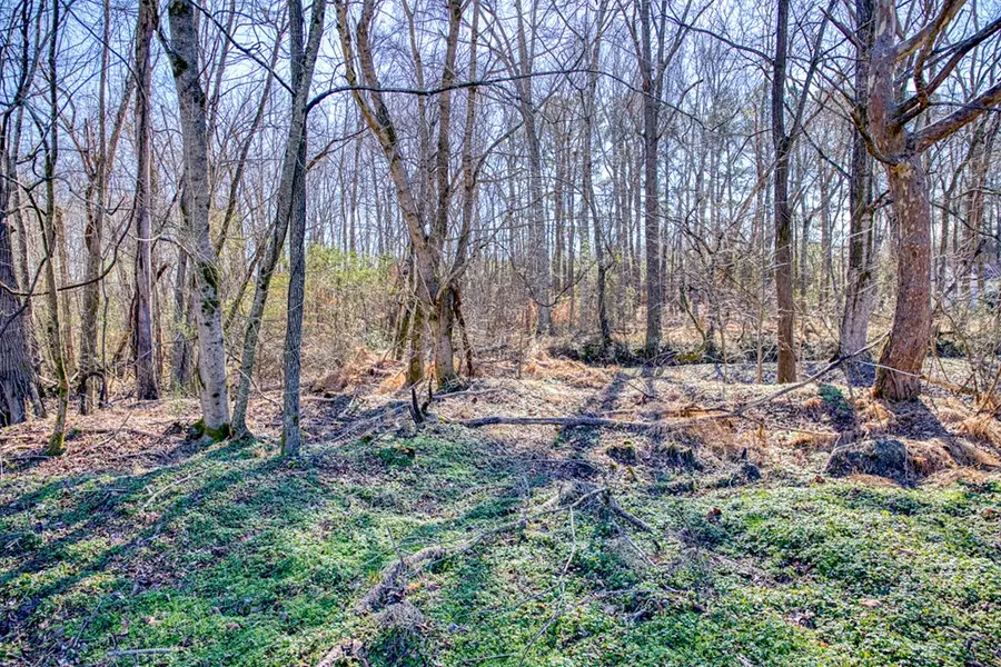 Lot 21 Williams Circle, Cookeville, TN 38506 - Image #2