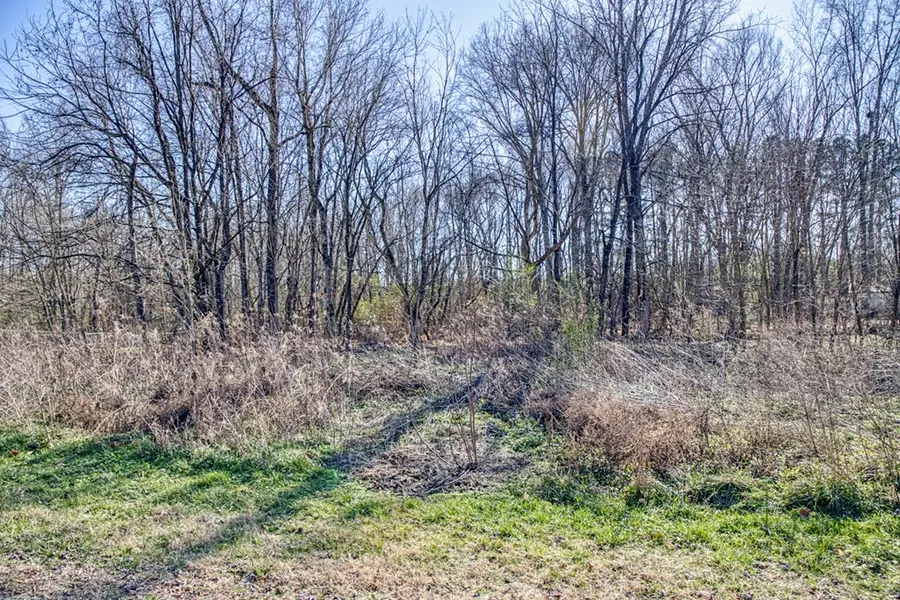 Lot 21 Williams Circle, Cookeville, TN 38506 - Image #3